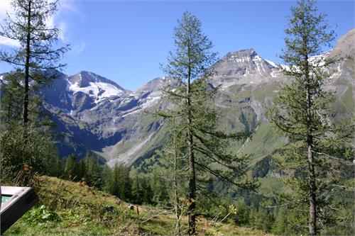 Großglockner